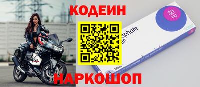 прущие грибы Краснодар