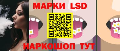 прущие грибы Краснодар