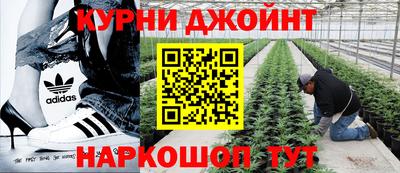 прущие грибы Краснодар