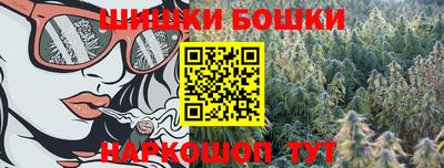 прущие грибы Краснодар