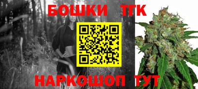 прущие грибы Краснодар