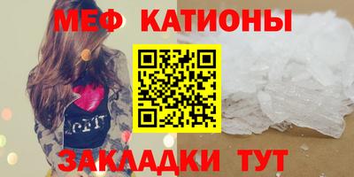 прущие грибы Краснодар