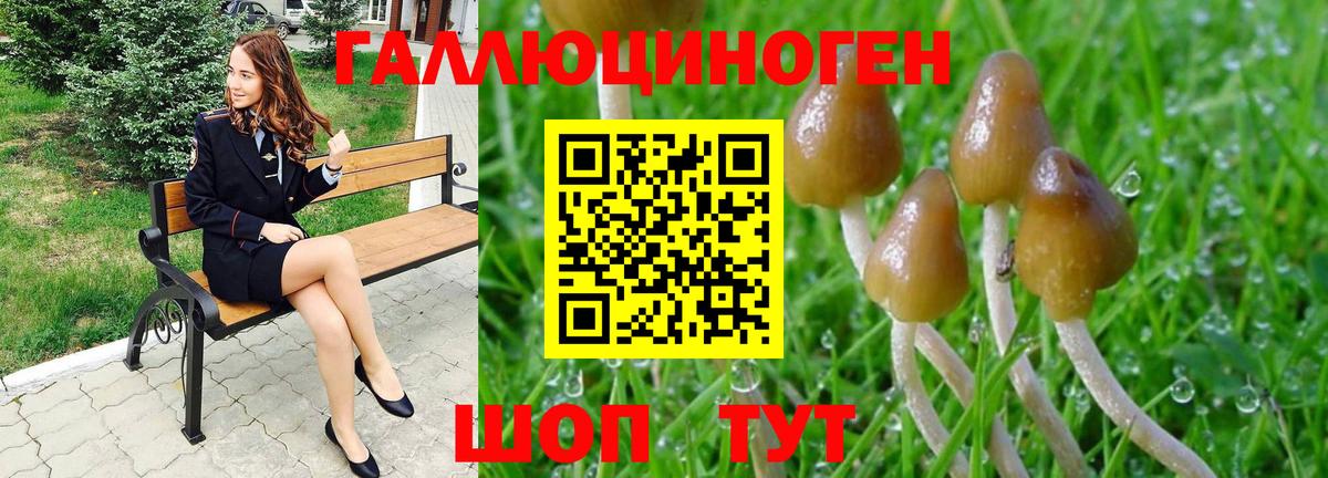 Галлюциногенные грибы Magic Shrooms  Вход с VPN  Ипатово 