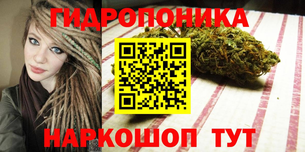 Конопля тримм  Шишки марихуана план  Вход с VPN  Марихуана конопля  Ипатово 